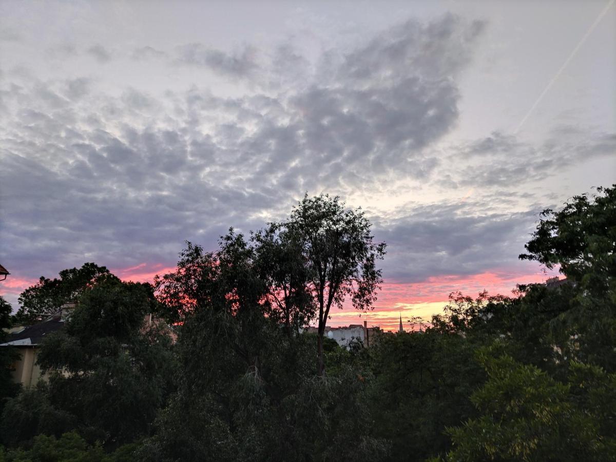 בודפשט Park View, Close To River, Ac, Bauhaus Vibe, 2 Balconies מראה חיצוני תמונה