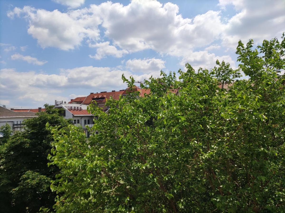 בודפשט Park View, Close To River, Ac, Bauhaus Vibe, 2 Balconies מראה חיצוני תמונה